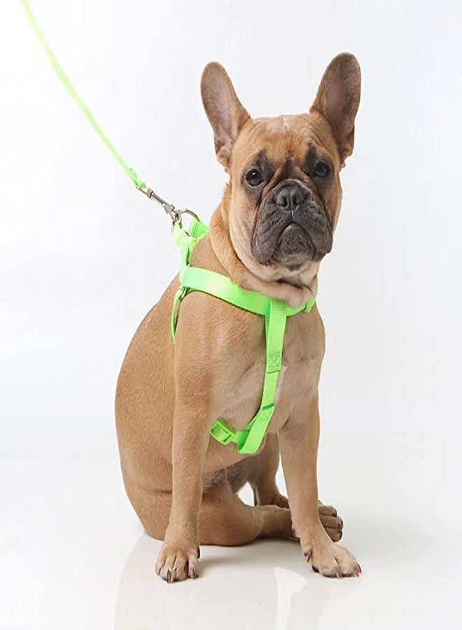 Pups&Pets طقم مقود قابل للتعديل من النايلون مقاس 15 مم مع حزام صدر مقاس 0.5 بوصة من Pups&Pets للكلاب الصغيرة والمتوسطة - أخضر ببغائي - Image 2